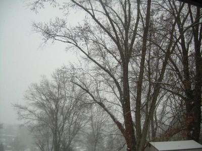 DSCN6446.JPG