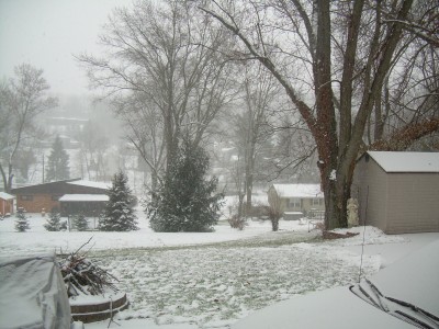 DSCN6447.JPG