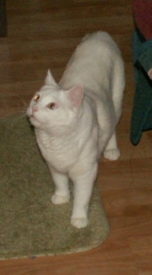 PICT0001.JPG
