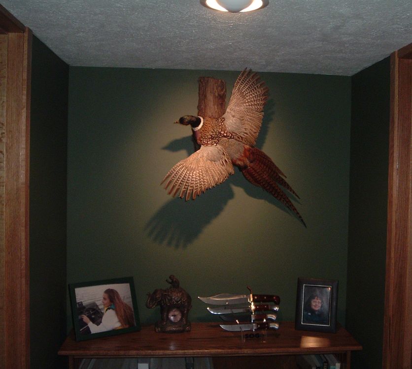DSCF6487.jpg