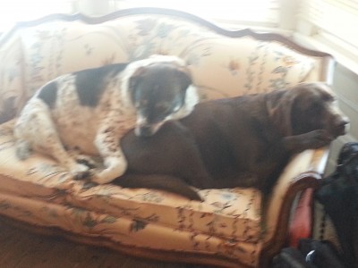 Best Friends.jpg