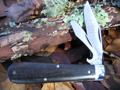 Radio Cap-Lifter Ebony Wood.JPG