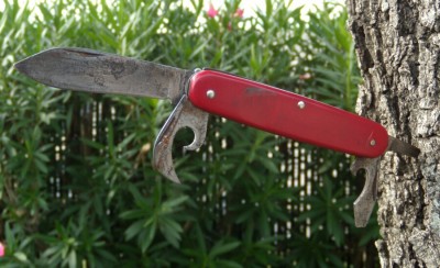 Imperial Prov RI USA Scout in tree 2.jpg