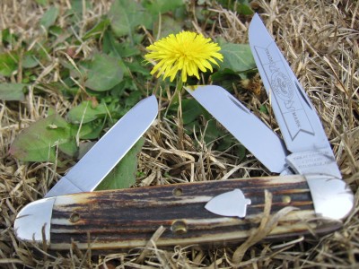 2008 GEC#538308 Stag Stockman (a).JPG