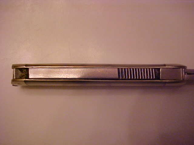 WandGVogel3.JPG