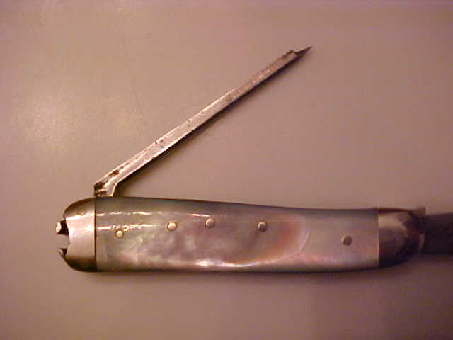 WandGVogel2.JPG