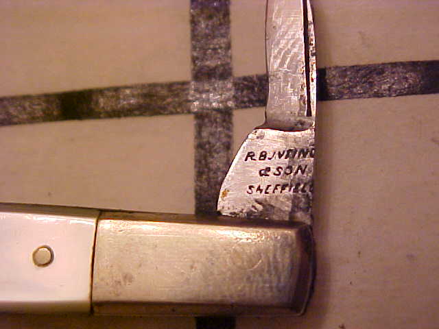 RBunting2.JPG