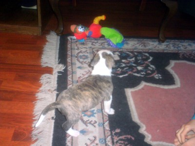 IMAG0734.JPG