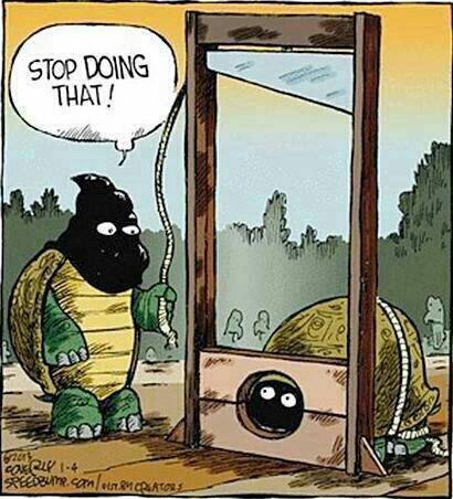 Naughty Turtle.jpg