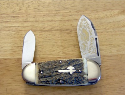 2006 Fight'n Rooster Sunfish ( Monster Stag on this baby)