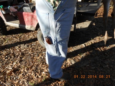 When you wear bibs, Griz has to ride in a pocket