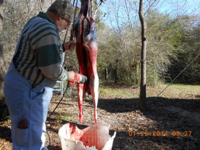 Sawzall splitting the pelvis, could be done with the knife but you would have to drive it through the bone with a maul