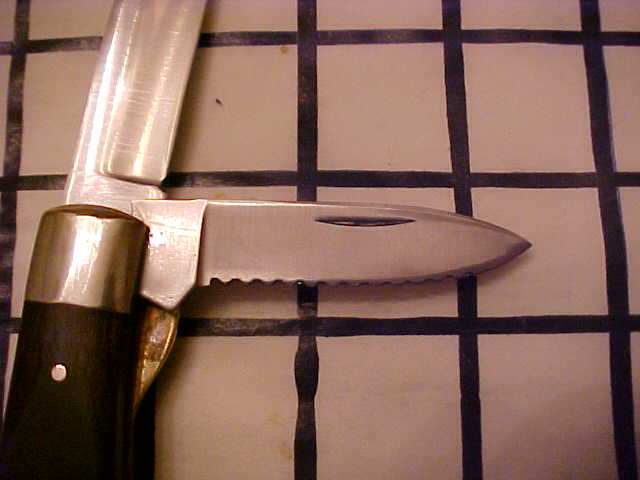 Crosman05.JPG