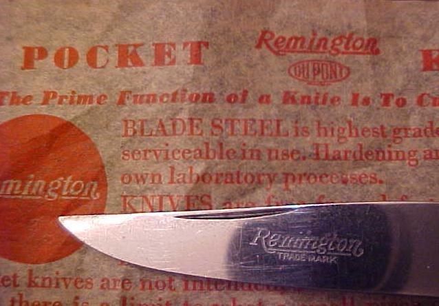 r1173_6.JPG