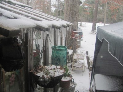 LOUISIANA SNOW 098.jpg