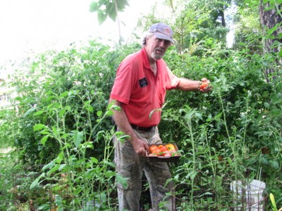 TOMATOE JUNGLE 009.jpg