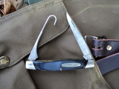 Buck 321 (2).JPG