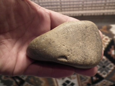 DSCF0460.JPG