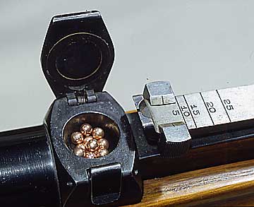 VZ35E.jpg