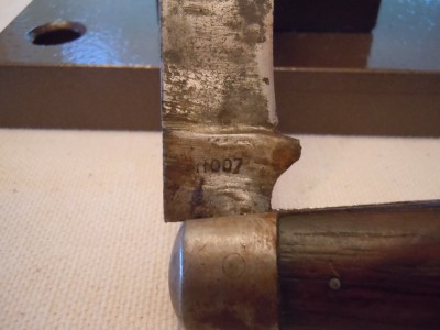 Roberson pruning 003.jpg