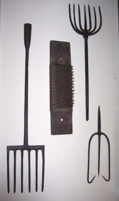 100_0800.jpg