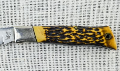 camillusbuck-3.jpg