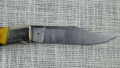 camillusbuck-2.jpg