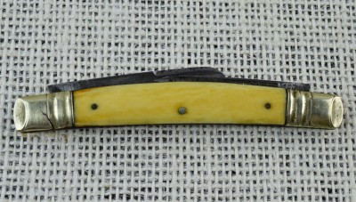 ivory-3.jpg