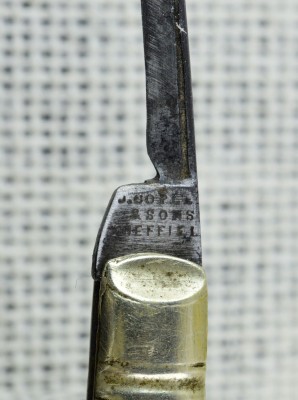 ivory-1.jpg