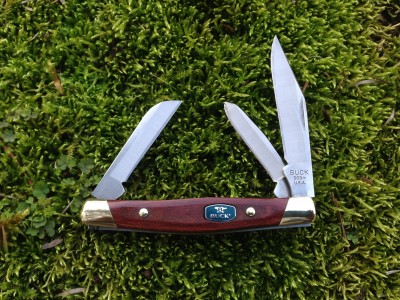 Buck 303 - 2013.JPG
