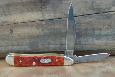 Case Chestnut CV - in front of wood.jpg