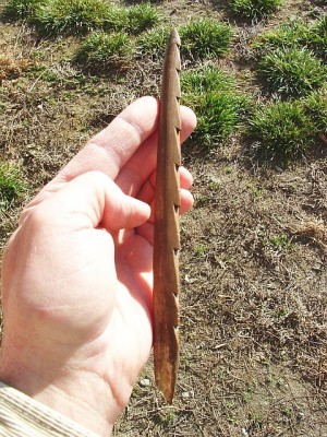 March 12 07 004.jpg