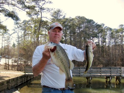 Pair Of Bass.JPG