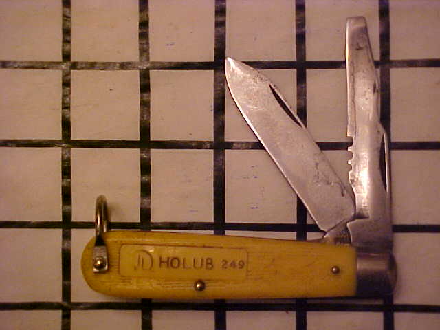 TL29HolubSycamore1.JPG