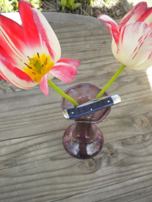 knives and CRAIGSLIST ITEMS MARCH 011.JPG