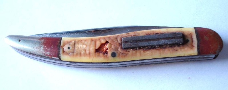 bean1.jpg