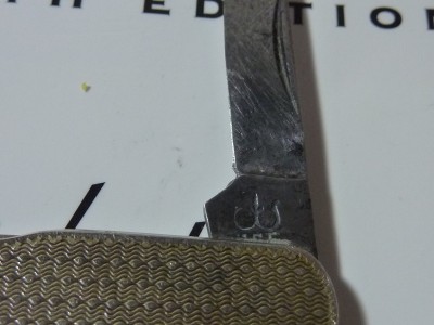 P1020377.JPG