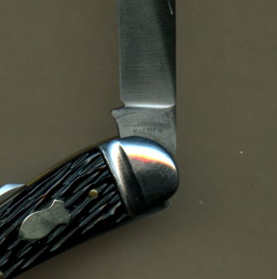Black peachseed  Schrade USA244.jpg