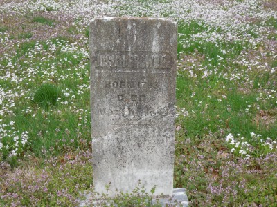 DSCN0994.JPG