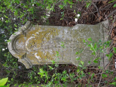DSCN1027.JPG