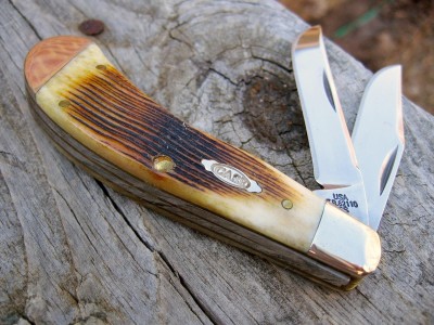CASE BONE Saddlehorn.JPG