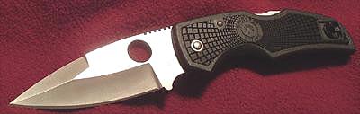 Spyderco Native.jpg