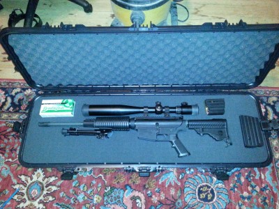 DPMS .308LR_Barska 6-24 Swat Scope in hard carry case.jpg
