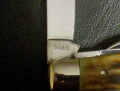 5488 Tang BAck.jpg
