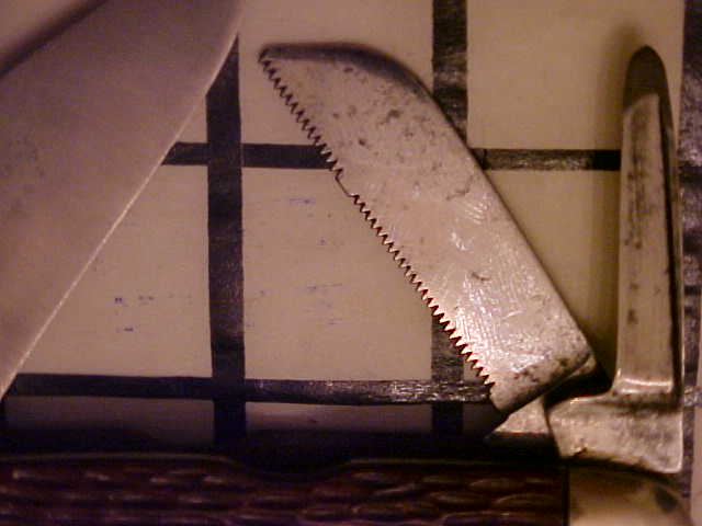 ScoutSerrated Blade3.JPG
