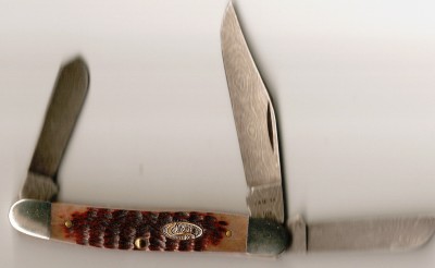 manatee 011.jpg