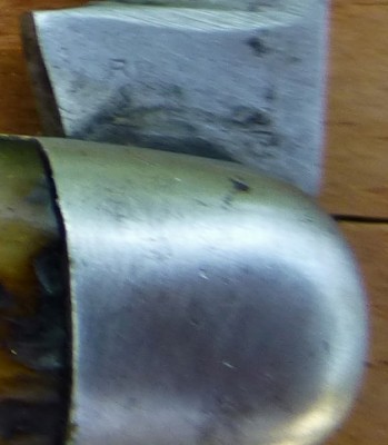 P1010494 (Medium).JPG