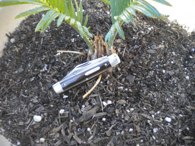 rootbeer 76 018.JPG