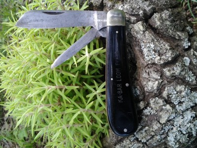 20140518_134045.jpg
