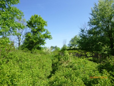 P1000217.JPG